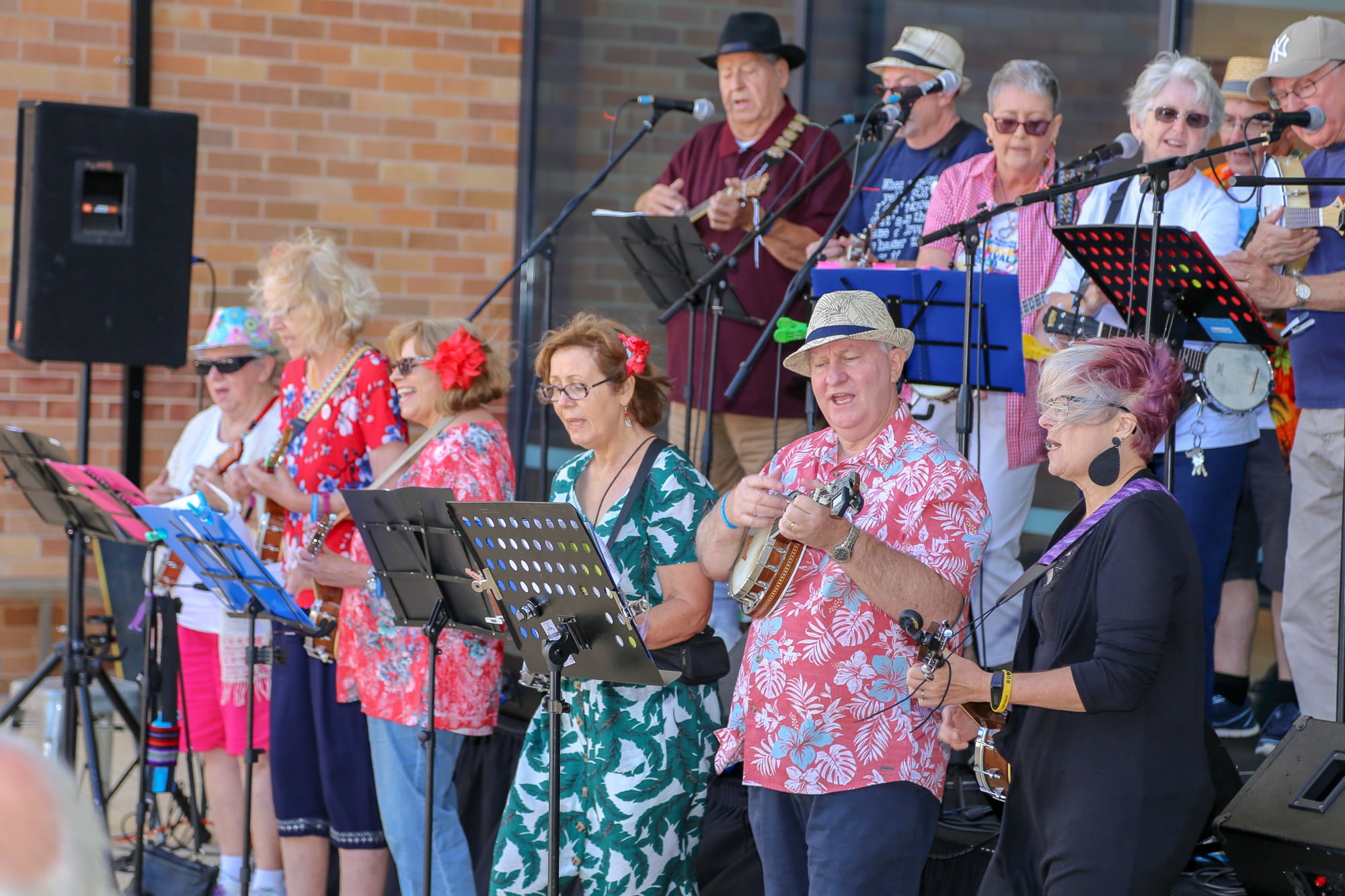 The Greatest Ukulele Party Band in the World District Gazette